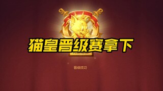 猫和老鼠手游：苏蕊:这仨一定比我强多了吧