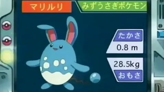 オーキド博士のポケモン講座(マリルリ)