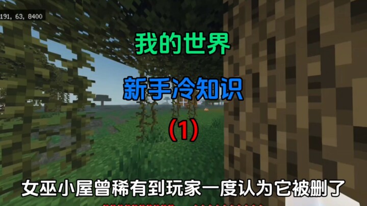 [ Minecraft ] Mẹo và thủ thuật dành cho người mới bắt đầu!