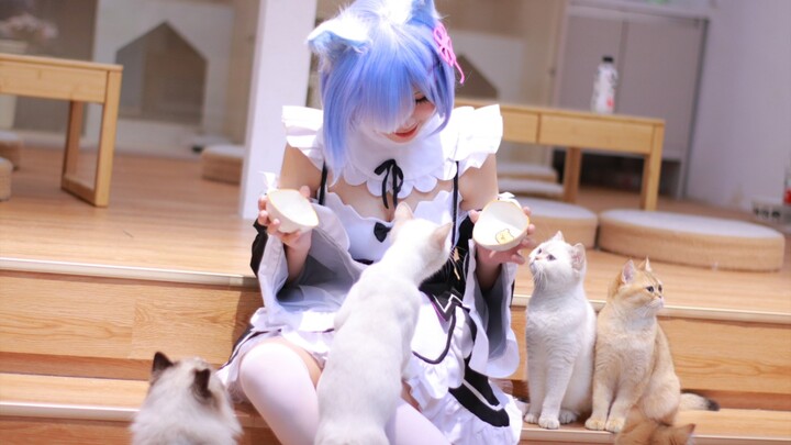 Hari ini Rem Maid Nya~