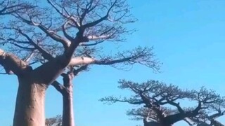 找不到答案的时候，就去看世界