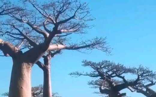 找不到答案的时候，就去看世界