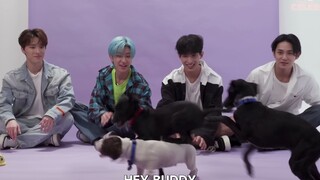 【SVT_ZER·0】221123 SEVENTEEN +PUPPIES 采访 零站中字