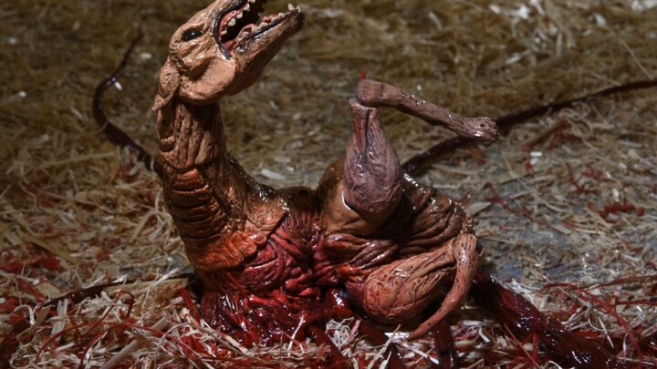 [ตัวอย่างผลิตภัณฑ์ใหม่] NECA Strange Mutated Dog