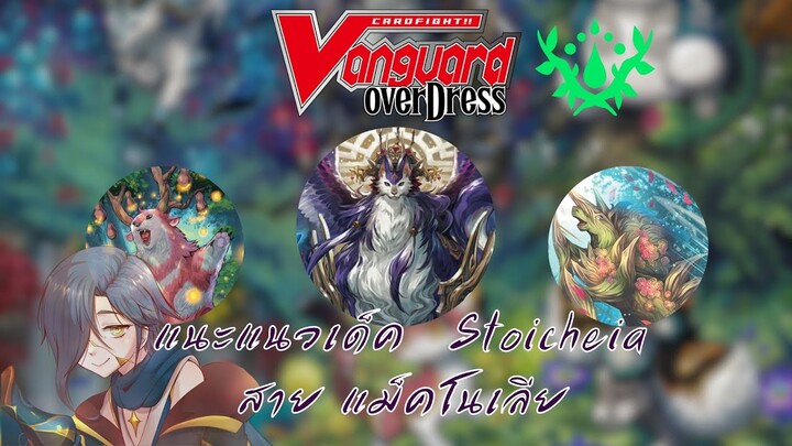 【Cardfight Vanguard D】แนะแนวการจัดเด็ค + อธิบายคอมโบ เด็ค Stoicheia  แม็กโนเลีย ตีจากแถวหลัง