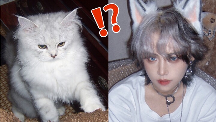What happens when my cat and I get the same hair color? Let’s see how it looks!