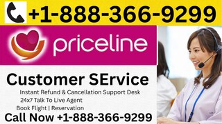 Full™ {List} Of Priceline ™️® Customer™ Service® Contact Numbers : A Step by-step Guide