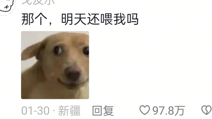 ไล่กัดมาตลอดทาง แต่กลับพบว่าเป็นคนในครอบครัวตัวเอง คุณก็คงรู้สึกเขินเหมือนกันแหละ!