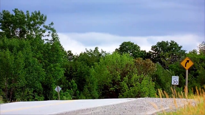 A man is like an invincible lucky star—indestructible as a cockroach—in this horror film.