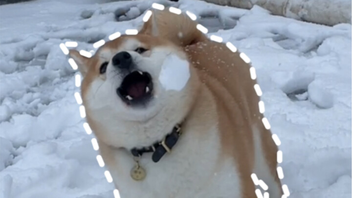 Shi Lezhi’s “Fill-in-the-Dog” Game