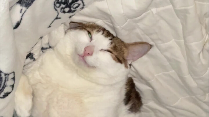 يوم رجل ممل يبلغ من العمر 9 سنوات