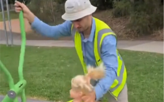 Cảm ơn bạn, Anh Hùng Kiểm Thử An Toàn!