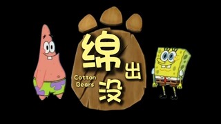 绵 出 没