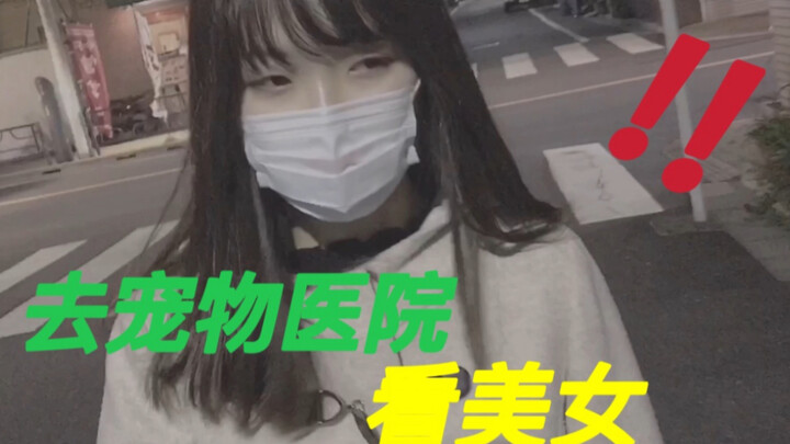 Taking my Japanese wife to the vet to see a pretty girl! But then…? Haha!