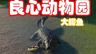 We have crocodiles in our zoo again!!!!!!!!!!