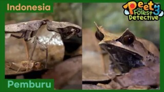 Pemburu Legendaris - Peet The Forest Detective 3 (Bahasa Indonesia)