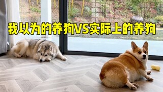 สิ่งที่ฉันคิดเมื่อเลี้ยงสุนัข VS สิ่งที่มันเป็นจริง