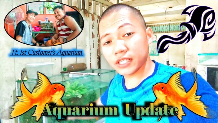 Aquarium Update ft. 1st Customer's Aquarium