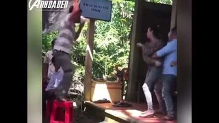 Đang Bay Thì Đứt Dây Đàn