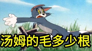我算出了汤姆的毛有多少根？b站第一人