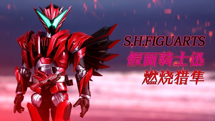 【玩个痛快】SHF 假面骑士迅 燃烧猎隼 PB限定 4K画质