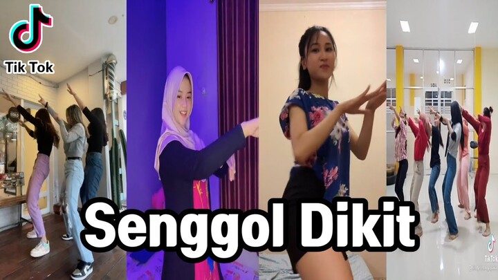 Pemersatu Bangsa !!! Tiktok Viral