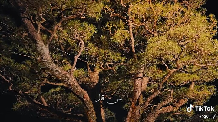 سبحانك اللهم اني كنت من الظالمين#العراق