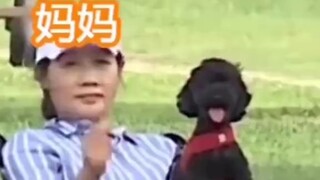 [朴灿烈]让多芬10秒告诉你朴灿烈显而易见的家庭地位