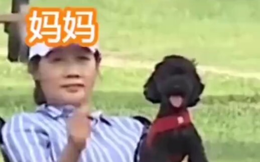 [朴灿烈]让多芬10秒告诉你朴灿烈显而易见的家庭地位