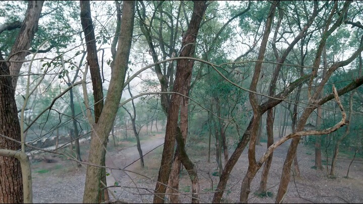 Love In The Clouds Episode 06 Subtitle Indonesia