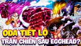 ODA TIẾT LỘ TRẬN CHIẾN TIẾP THEO CỦA BĂNG MŨ RƠM?! | LUFFY BỎ CHẠY KHỎI SATURN?