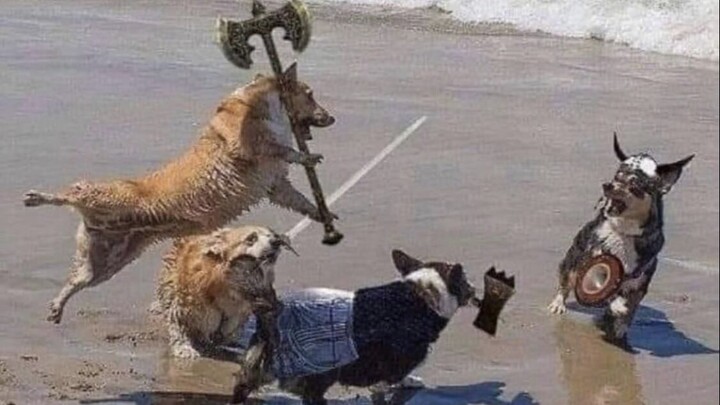 مختارات مقاطع فيديو ممتعة من الخارج، بعد مشاهدتها تشعر أن العالم بأكمله مليء بالبهجة! #107