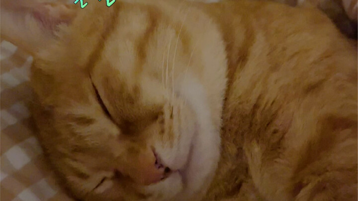 “Bulan ini aku pasti turun 10 kilo” Tidak Pahit: Lo posting aja deh!