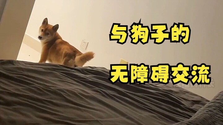 Barrier-Free Communication with the Dog