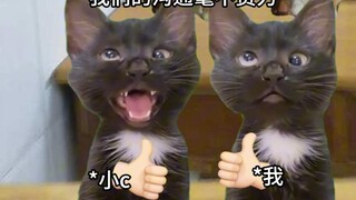 话痨也是种超能力