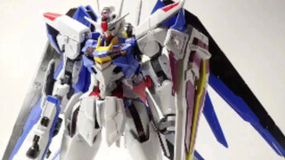 What is the Fengling Gundam model? (by a model friend)