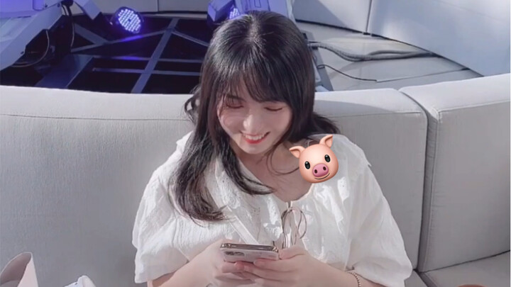 Pig Pig’s Travelogue: The Bilibili Chapter