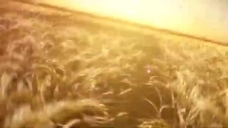 Hari ng mga sugarol ll (Tagalog Dubbed) Full Movie Action Comedy