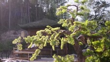@ 16-20 ●จัน,ทรา,อัส,ดง●