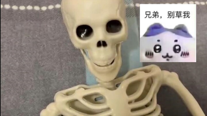 💀Trong nhà có con đú đú đà đà rồi 💀