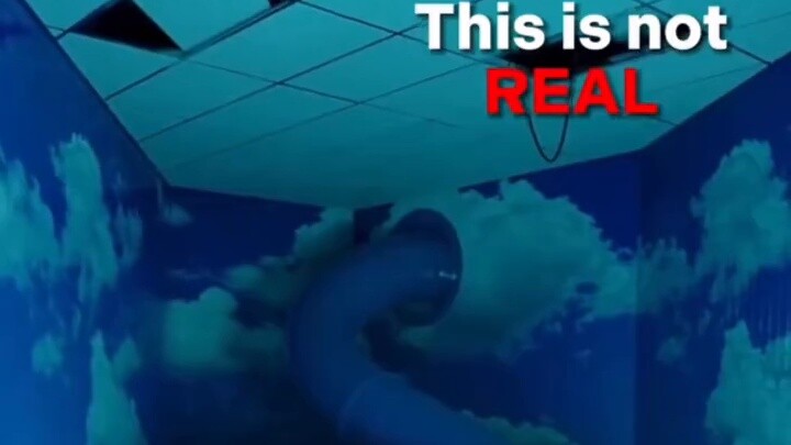 "Wanderer, that's not a real exit"