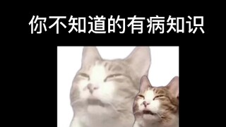 《有病的知识》
