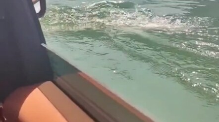 #Yangwang U8 Emergency Floating Test: On-Site Footage from Outside the Window. #BYD