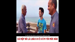 cá mập bò là loài ghê gớm tới mức độ nào | review phim
