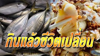 ใครชอบกินปลาบ่อยๆ ต้องดูไว้! 7 สิ่งที่จะเกิดขึ้นกับคุณ