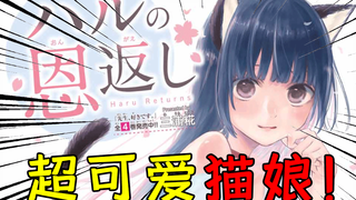 黑猫报恩！变成了超可爱的猫耳美少女？！