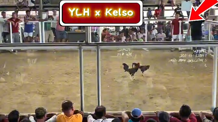 Buyer's Update: YLH stuart x RW kelso