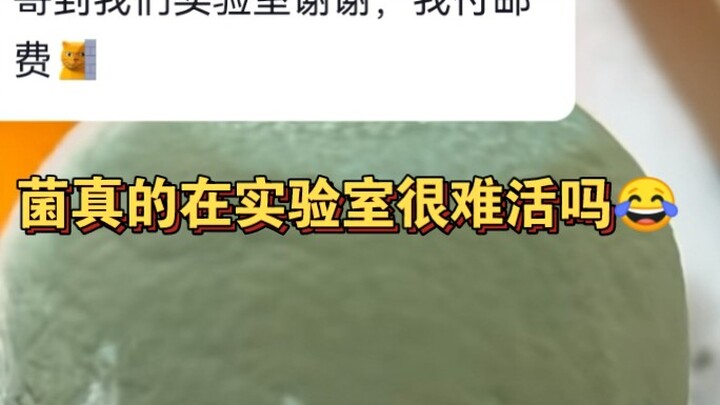 [Mikroba: Aku ini mikroba yang tak bisa didapatkan oleh si dia di laboratorium]