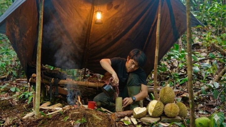 Petualangan di hutan