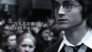 【HP】有些镜头反复品才能品出淡淡的忧伤